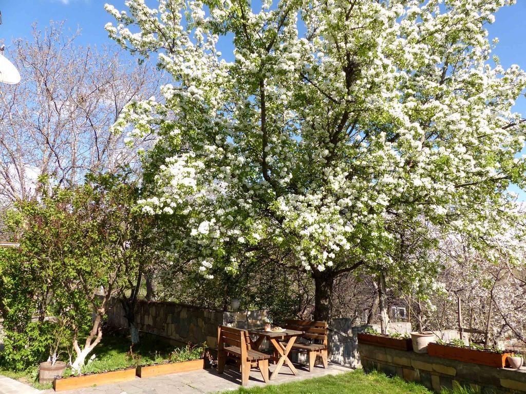 Green Stone Boutique Hotel Yeghegnadzor Εξωτερικό φωτογραφία